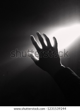Similar – Image, Stock Photo A hand in light and shadow