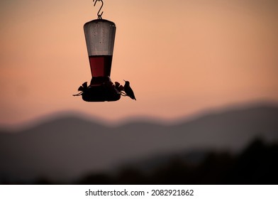 Dark silhouette of humming bird resting on a bird feeder at dusk.