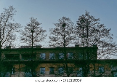 Dark silhouettes of leafless trees reflected over an old apartment building facade, creating layered urban texture with windows, bare branches, winter atmosphere, and abstract architectural reflections.