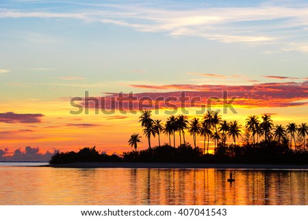 Dark silhouettes of palm trees and amazing cloudy sky on sunset at tropical island in Indian Ocean