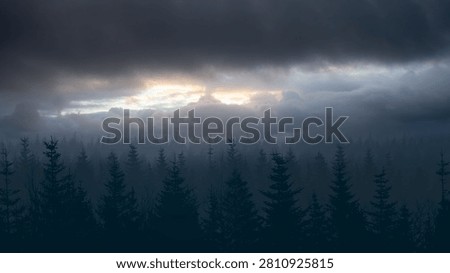 Dark silhouettes of pine forest under a dramatic, moody sky with a sliver of breaking sunlight. Halloween background