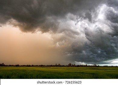 Dark Sky And Dramatic Black Cloud Before Rain.Big Rainy Storm And Rice Field