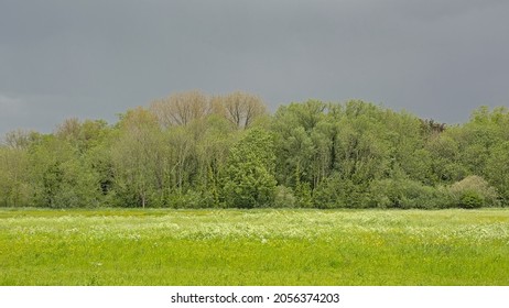 Dark Sky Over A Spring Landscape In Bourgoyen Nature Reserve, Ghent, Flanders, Belgium