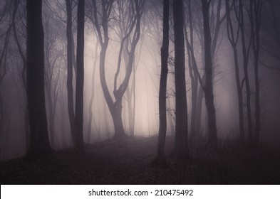 19,940 Halloween tree shadow Images, Stock Photos & Vectors | Shutterstock