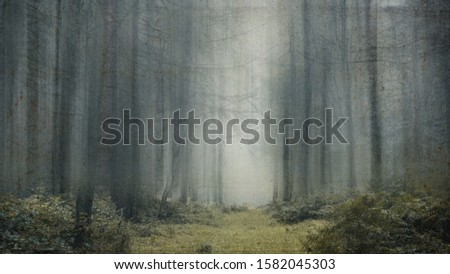 A dark spooky, moody path through a misty forest. With a grunge, textured, vintage edit.