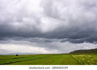 Dark storm clouds loom over green fields. Rain falls softly on open farmland. Distant hills and low vegetation visible