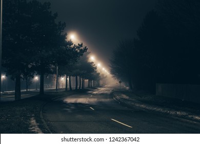 Dark Street At Night With Street Lamps And Line Of Trees