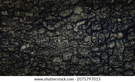 Dark texture of rugged relief fractured bark wood of aged cork oak. Old rough grunge of uneven ridged hard of dry crust surface. Deep cut grooved coated layer, convex ornate textured rustic design