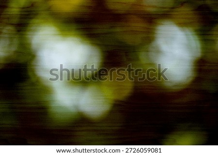 A dark, textured abstract background features soft, blurred white lights, creating an ethereal and mysterious bokeh effect with a subtle grunge overlay for added depth.