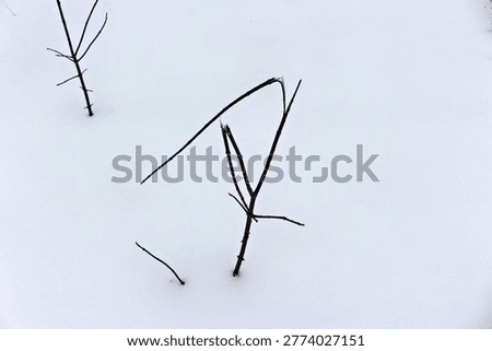 Dark, thin twigs poke through a vast, unbroken expanse of white snow, creating a stark, minimalist winter scene