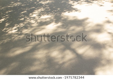 Dark tree abstract shadows with leaves of city asphalt street road into sun light 