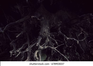 Roots Abstract Images, Stock Photos & Vectors | Shutterstock