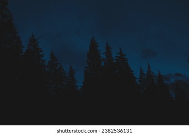 Dark trees with dramatic blue sky .
Winter trees in the mountains .
