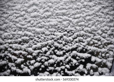 Dark Urban Though Snowflakes Frost On Stock Photo 569330374 | Shutterstock