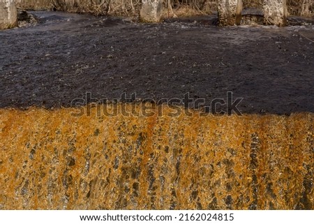 Image, Stock Photo autumn of spectators