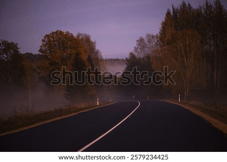 A dark winding road meanders through a misty forest, the path lined with towering trees