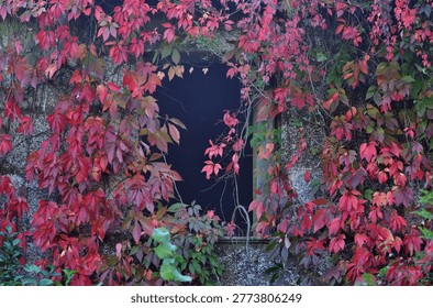 Dark window in an old stone structure surrounded by dry autumn leaves, mystical and scary atmosphere