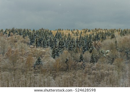 dark winter forest stock photo edit now 524628598 shutterstock