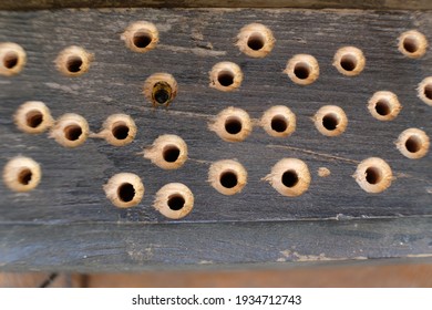 In A Dark Wood Beam Are Several Holes