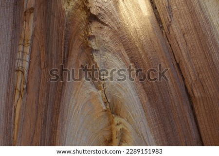 Dark woody pattern, old plum wood, macro.
