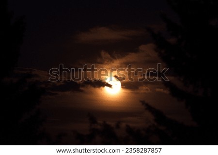 Dark yellow moon in the night sky with branches of forest trees and clouds on a summer night