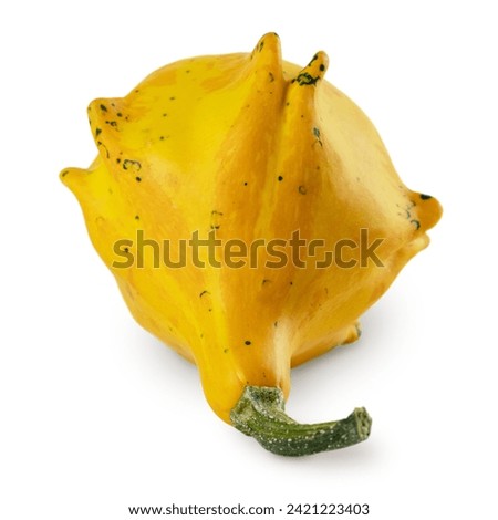 Dark yellow ridge gourd with green tail. Pear-shaped pumpkin. Isolated on white background with soft shadow.