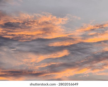 ​
