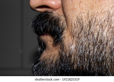 Dark-haired Man, Bushy Beard And Mustache