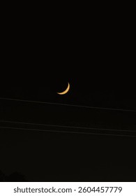In the darkness of night there is some light 