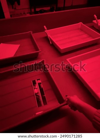 Darkroom Film Processing Develop and Fixer