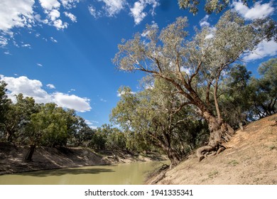 Darling River Far Western N.S.W. Australia