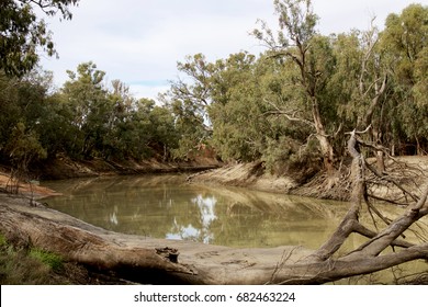 Darling River in outback NSW, Australia during drought conditions. - Shutterstock ID 682463224