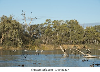 Darling River At Wentworth,NSW, Australia