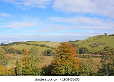 	
Dart Valley, Devon in autumn	
