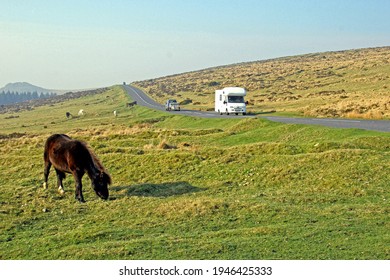 Dartmoor England. Dartmoor Pony Grazing On Lush Moorland. Tor In Rear. Motorhome Passing Along The Road. No People. 