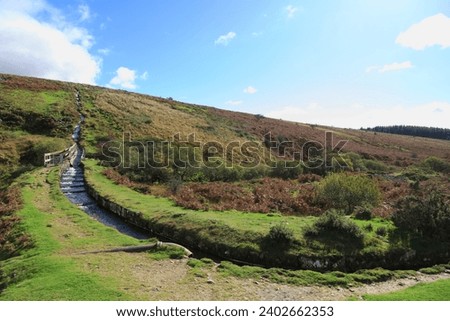 Dartmoor National Park in summer landscape