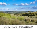 Dartmoor open countryside between Tavistock and Princetown Devon