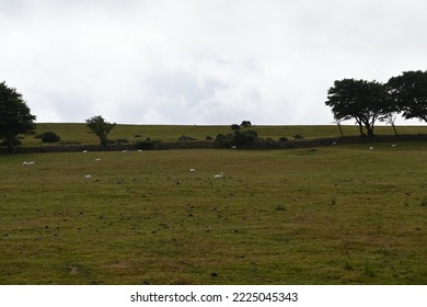 Dartmoor Scenery On An Autumn Day