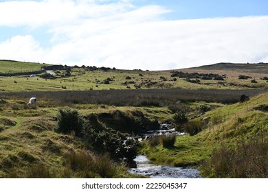 Dartmoor Scenery On An Autumn Day