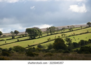 Dartmoor Scenery On An Autumn Day