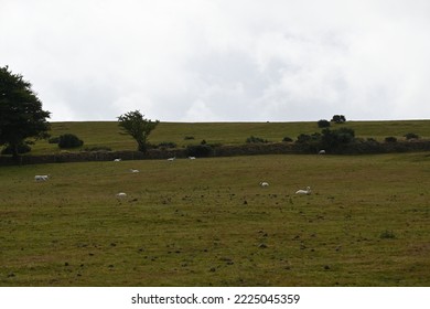 Dartmoor Scenery On An Autumn Day