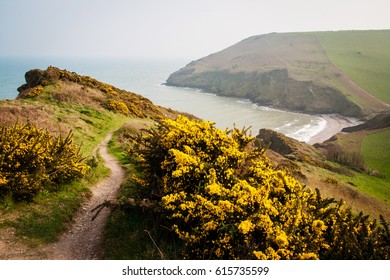 Dartmouth Walk, South West Coast Path, Devon