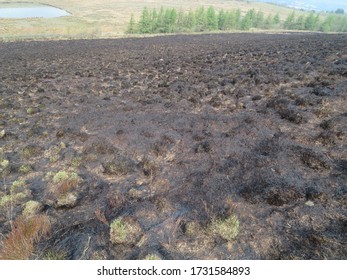 Darwen, UK - April 12 2020: Darwen Moor Fire Damage Caused April 7 2020