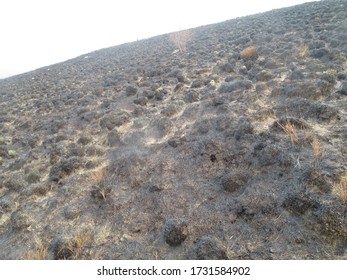 Darwen, UK - April 12 2020: Darwen Moor Fire Damage Caused April 7 2020