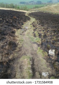 Darwen, UK - April 12 2020: Darwen Moor Fire Damage Caused April 7 2020