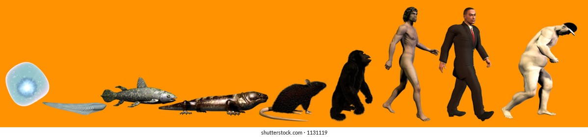 darwin evolution of man