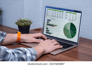 Data Analyst at Work - Close-Up of Laptop Screen with Tables and Charts