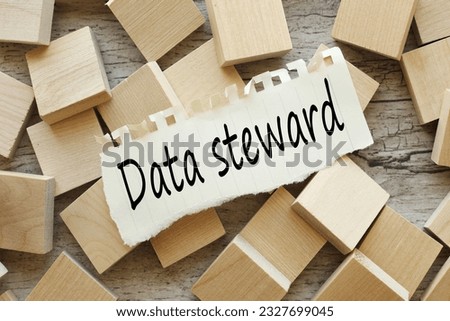 DATA STEWARD torn paper on wooden cubes with text