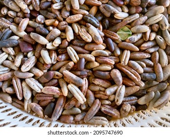 Date seeds are the by-product of date stoning. The date seed is a hard coated seed, usually oblong, ventrally grooved, with a small embryo. Date seeds are traditionally used for animal feed. Close up