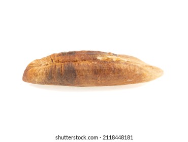 Date Tree Seed On A White Background. Dates. Seed Isolate